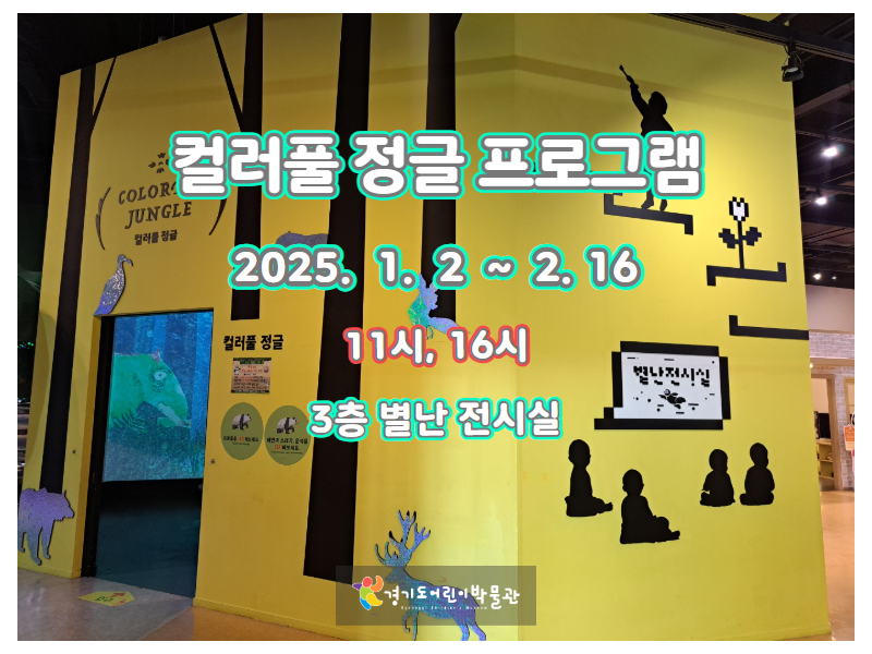 컬러풀정글 배너11월~ (1).png